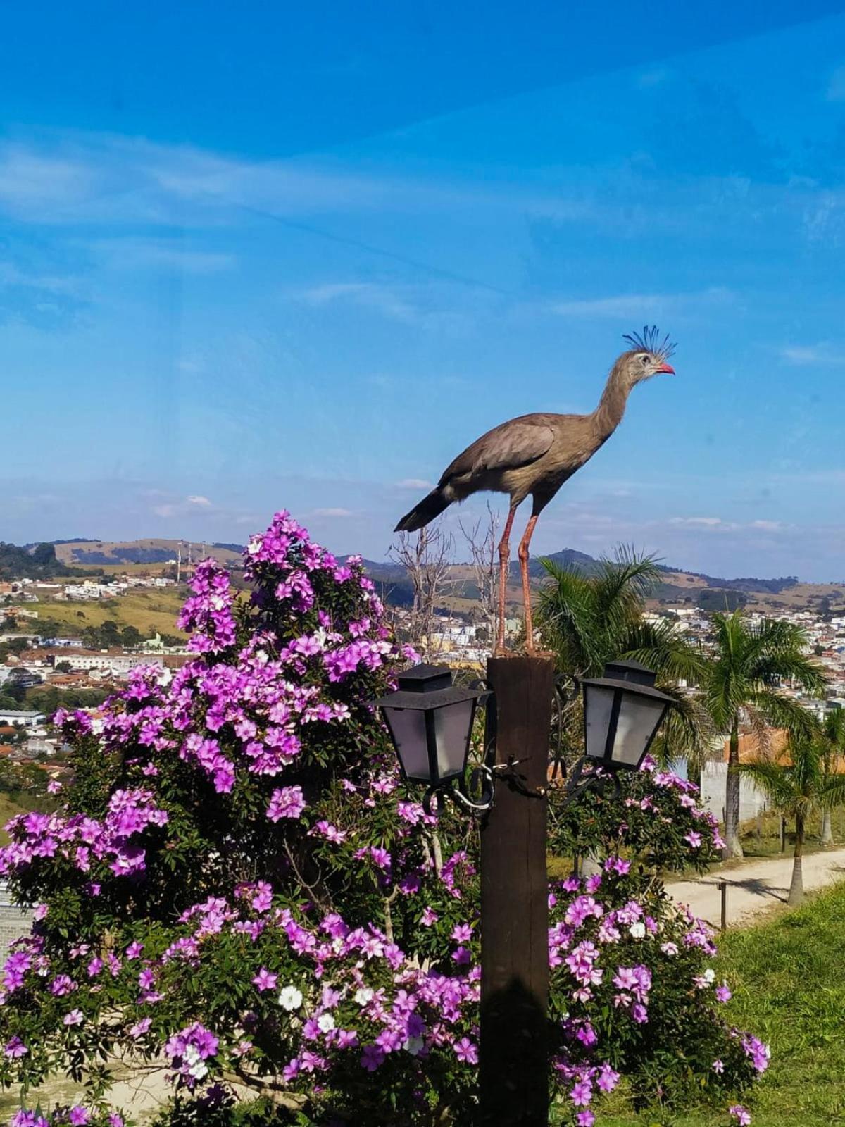 Hotel Pousada Agua Da Mina Monte Sião Kültér fotó